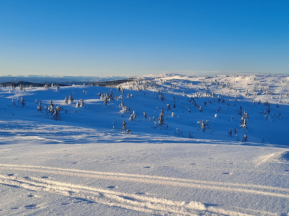 På Sjusjøfjellet øst