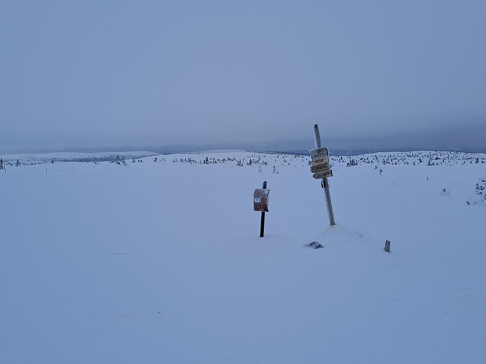 På Lunkefjell