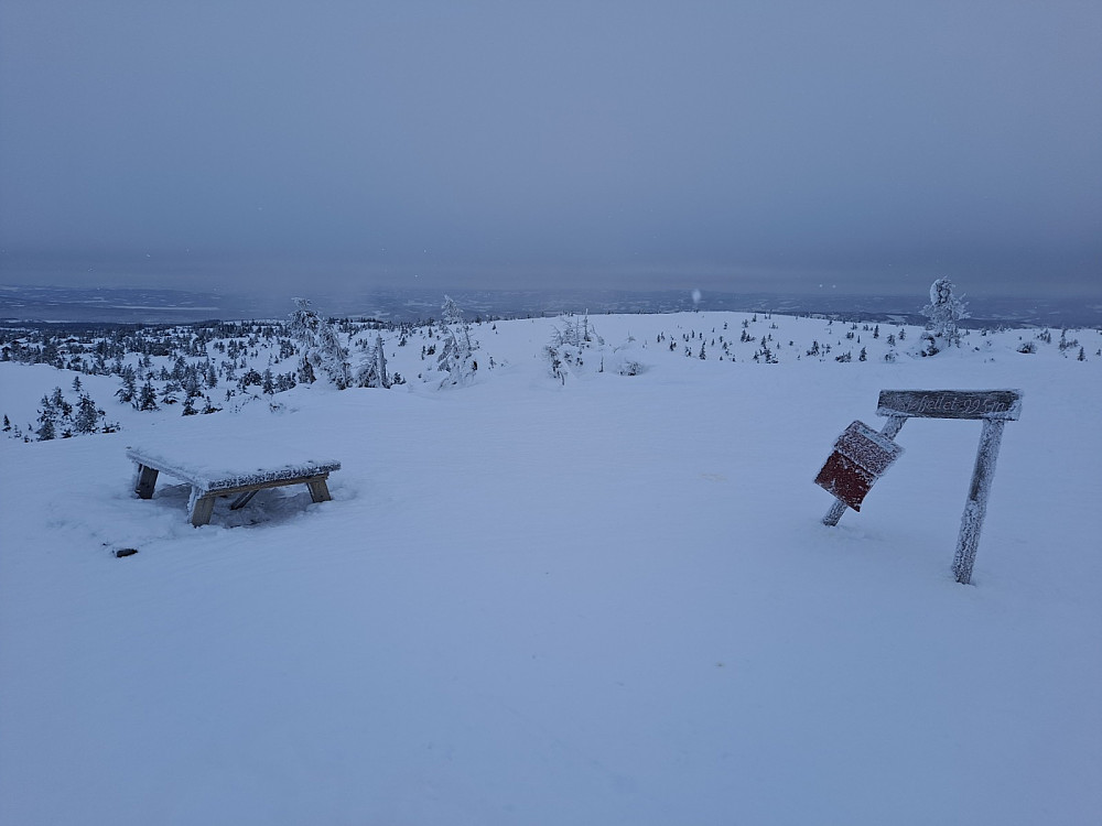 På Sjusjøfjellet