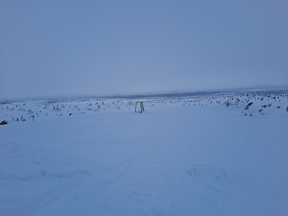 På Sjusjøfjellet øst