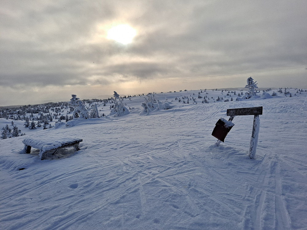 På Sjusjøfjellet