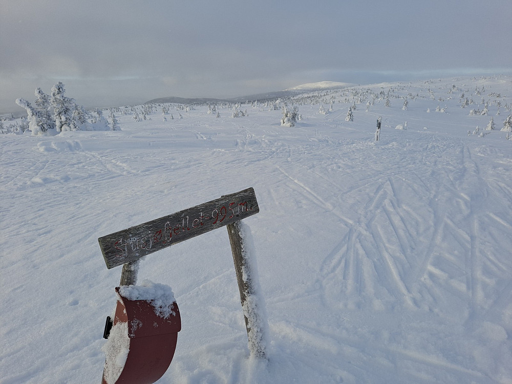 På Sjusjøfjellet