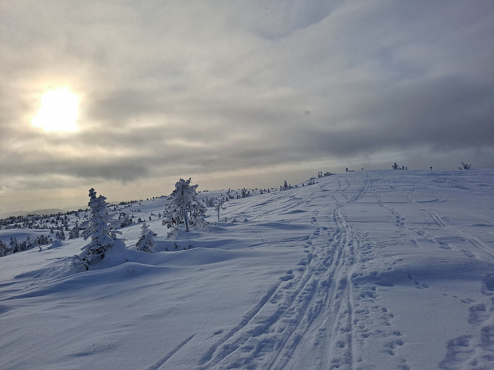 På Sjusjøfjellet øst