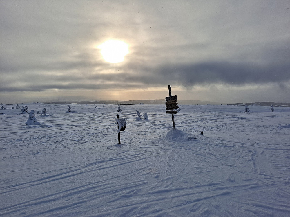 På Lunkefjell