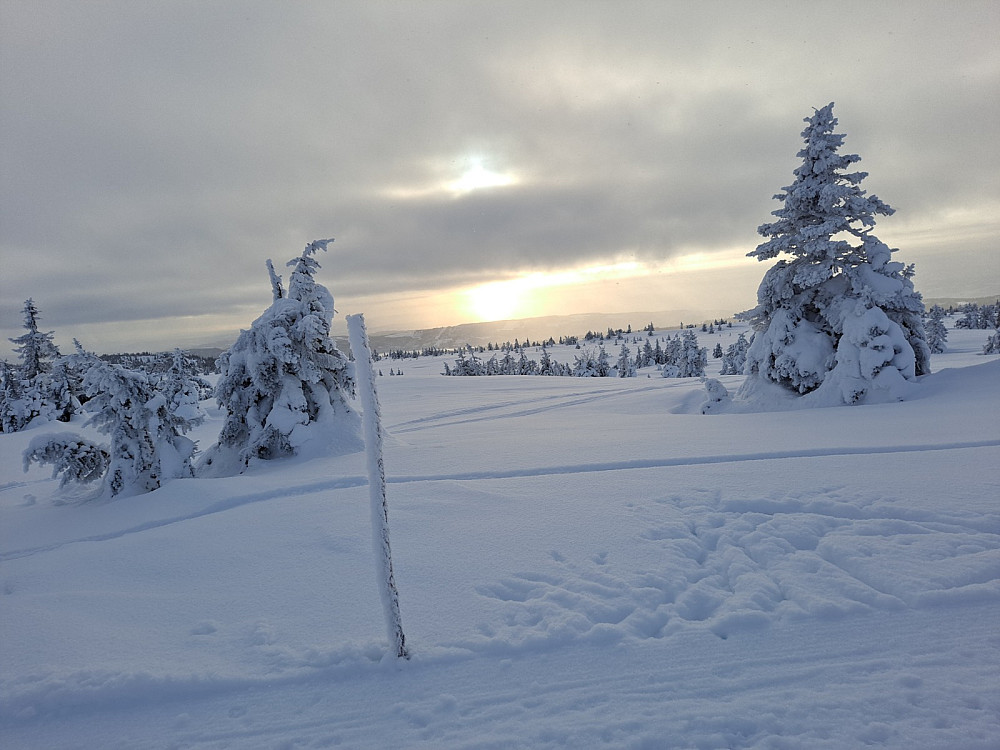 Ned fra Lunkefjell