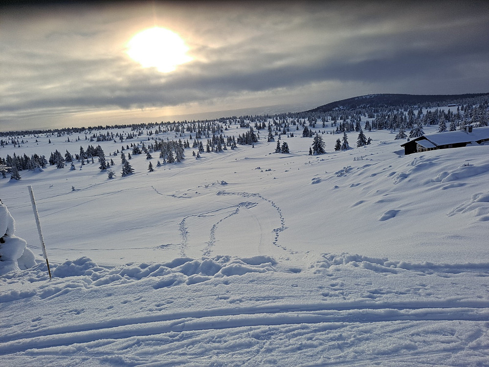 Ved Løvisåsen