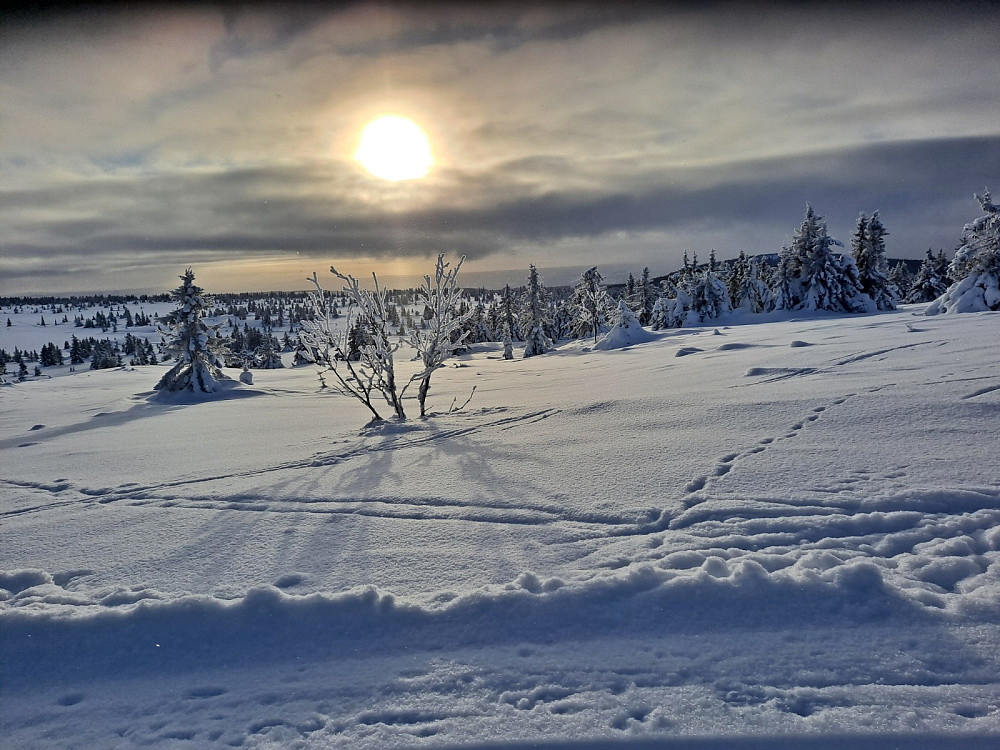 Ved Løvisåsen