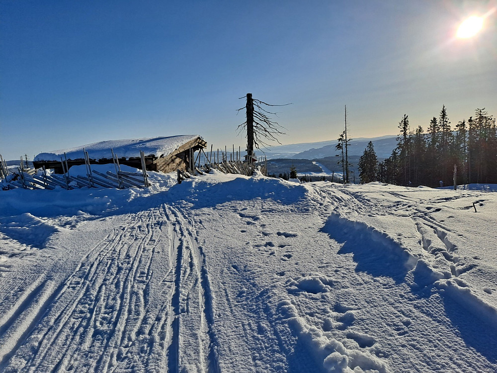 På Landskampen