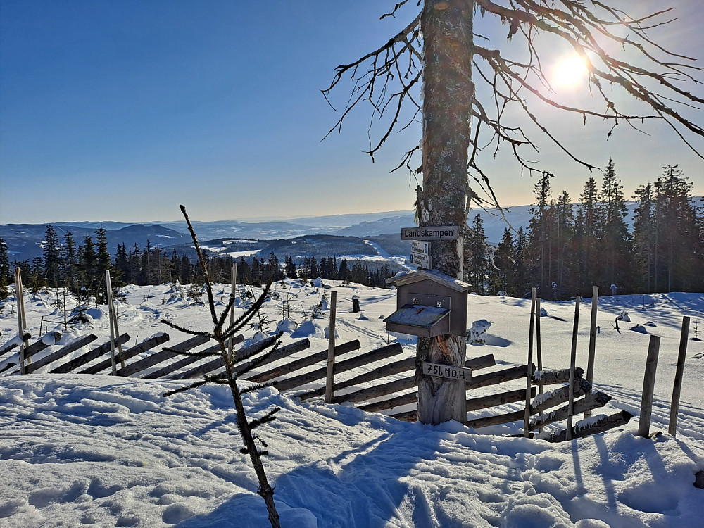 På Landskampen