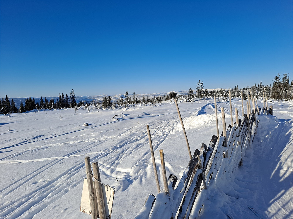 På Landskampen