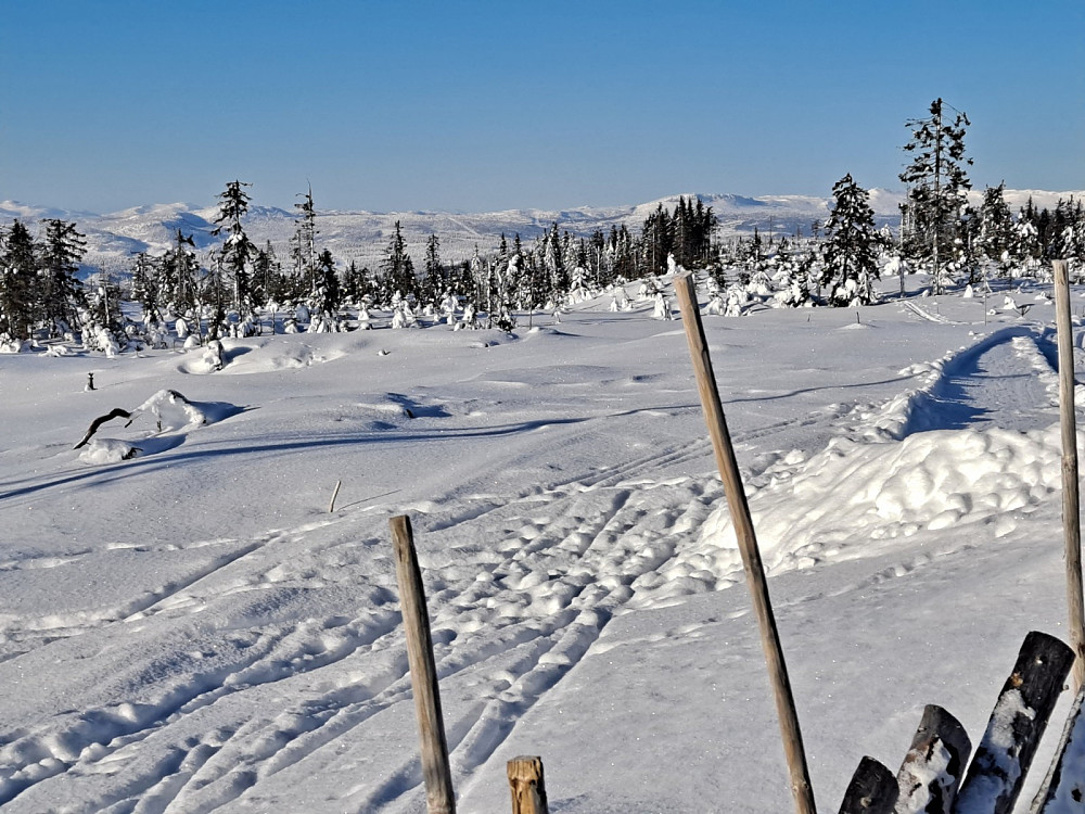 På Landskampen