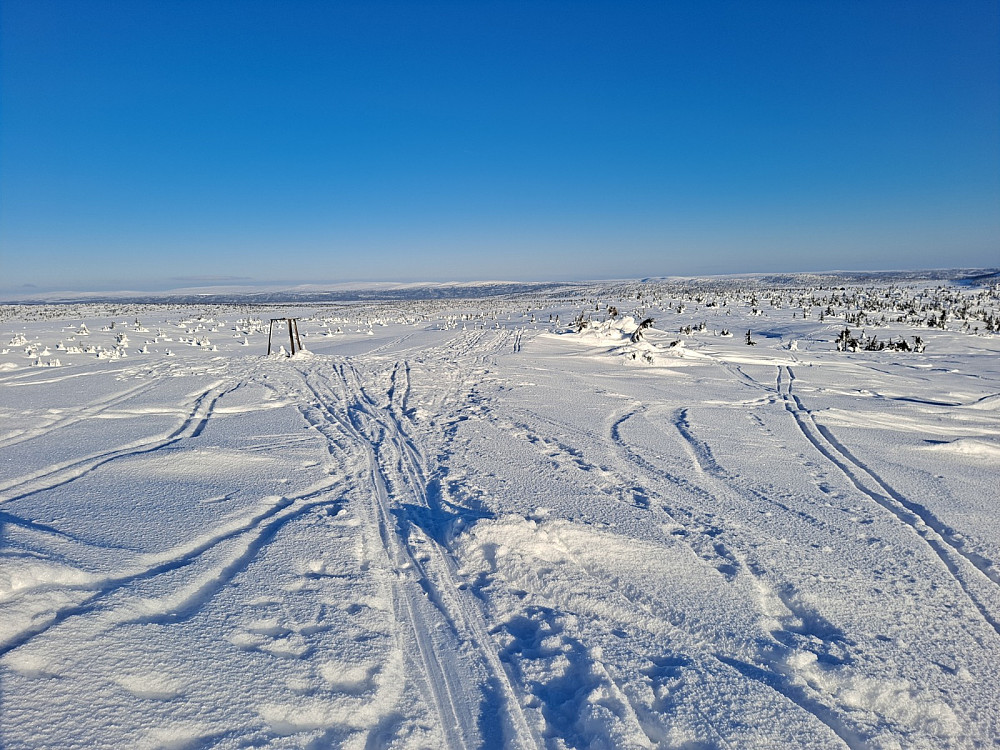 På Sjusjøfjellet øst