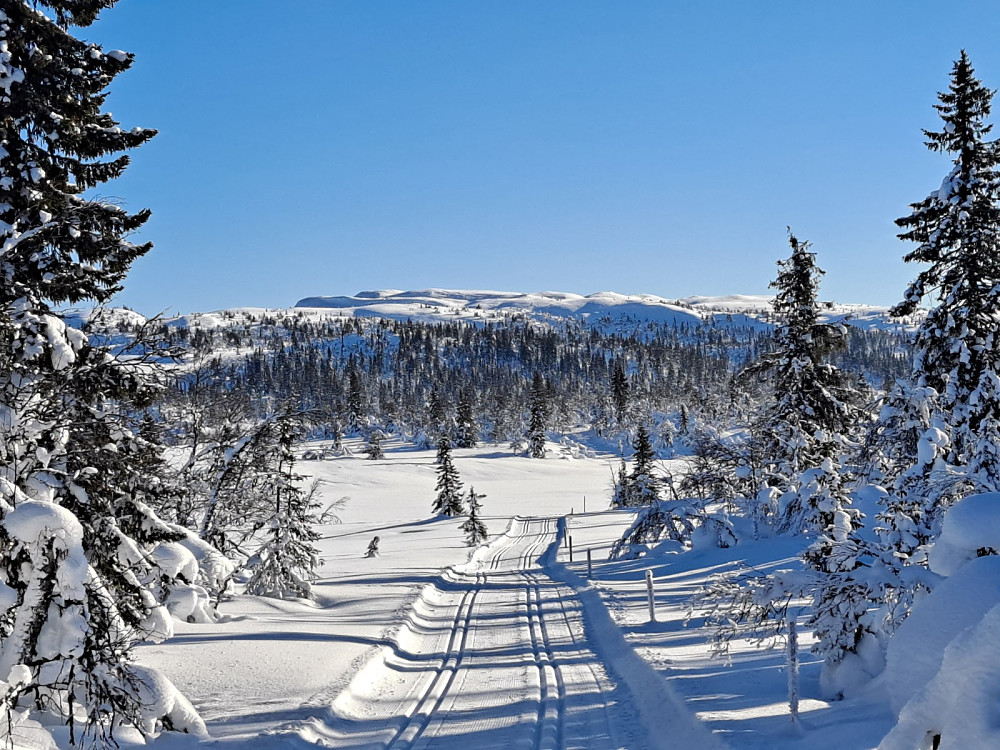 Nedover mot Kroktjern