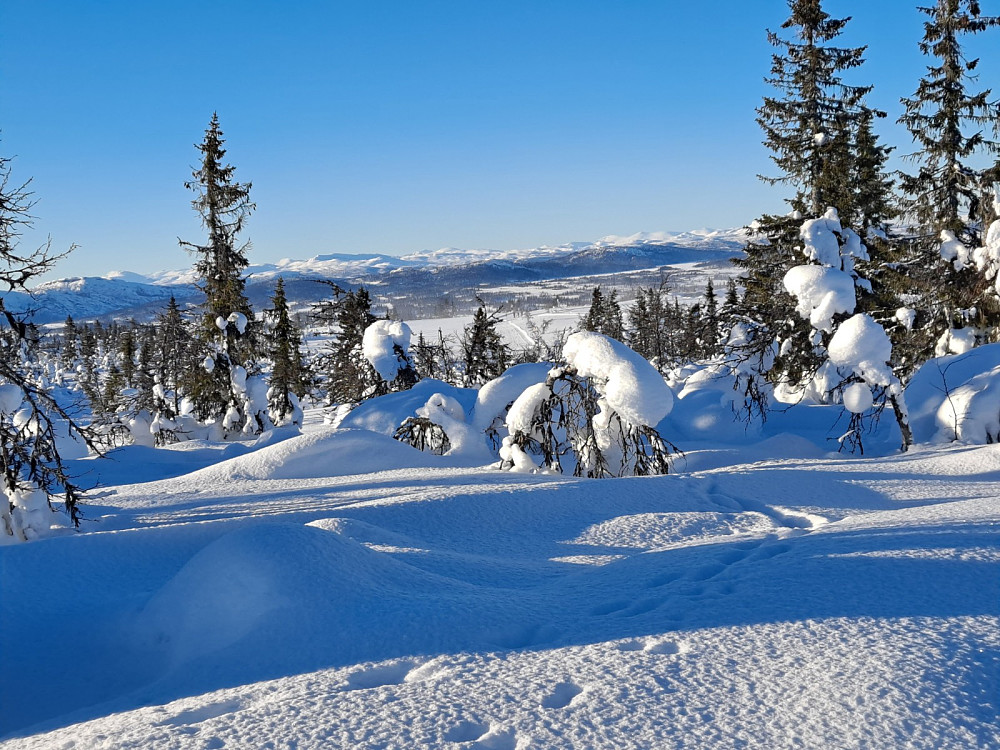 På Værskeitoppen