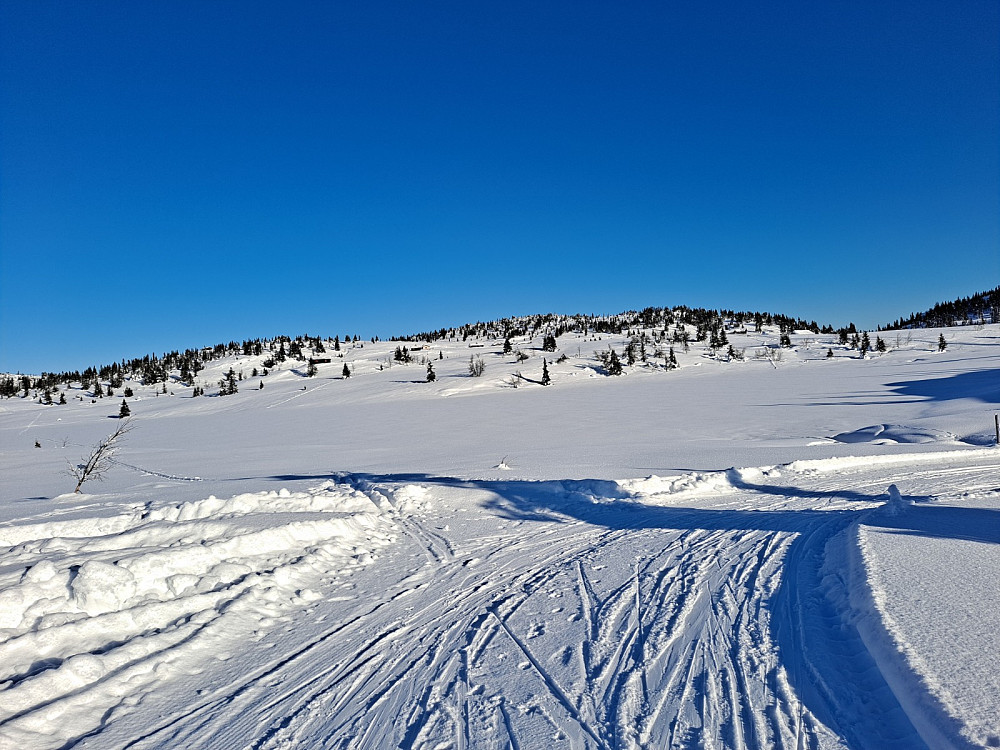 Ved Nedre Nysetervatn