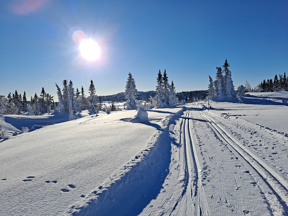 Ved Nedre Nysetervatn