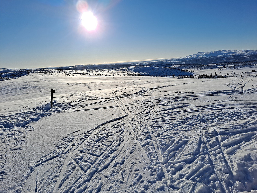 På Hærfjellet
