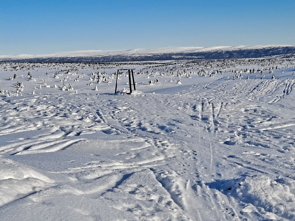 På Sjusjøfjellet øst