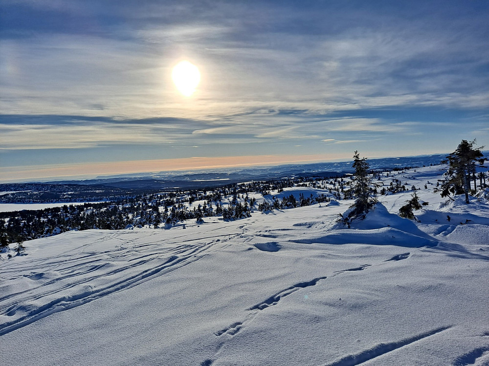 På Sjusjøfjellet øst