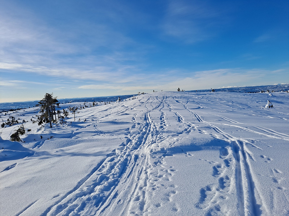 På Sjusjøfjellet øst