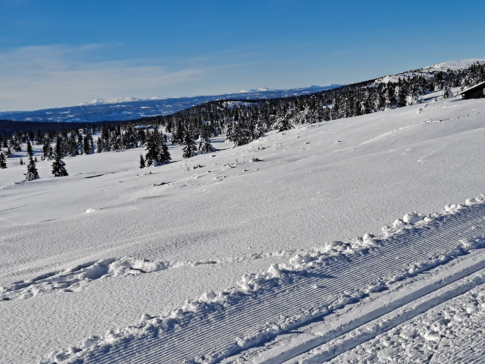 I Trolløypa ved Løvisåsen
