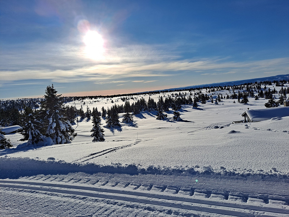 I Trolløypa ved Løvisåsen