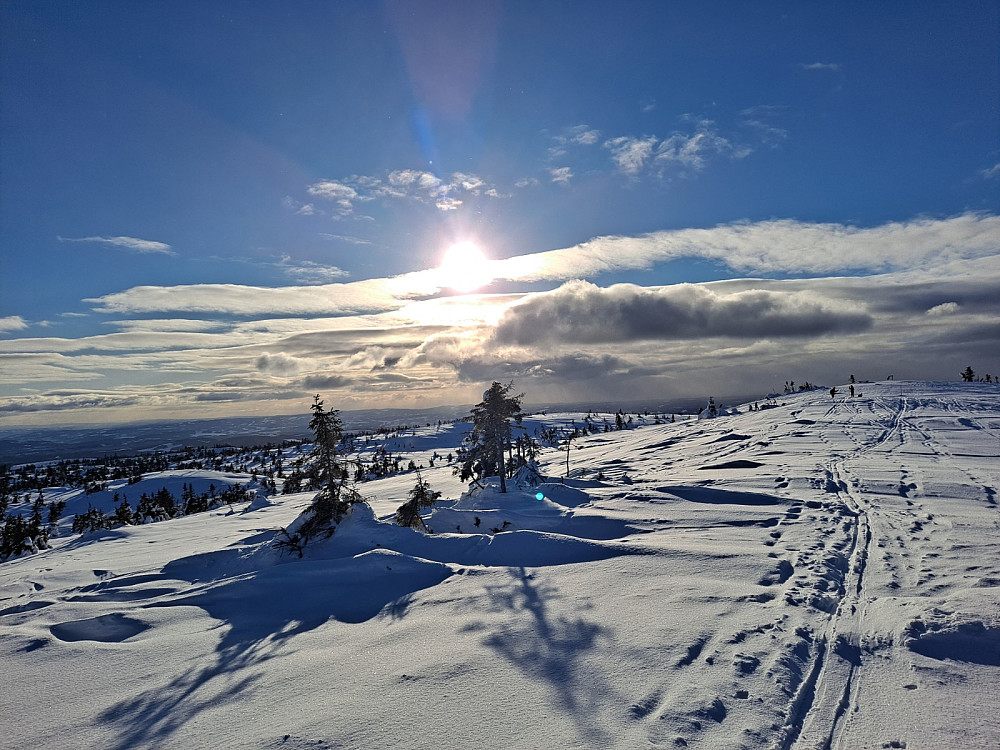 På Sjusjøfjellet øst