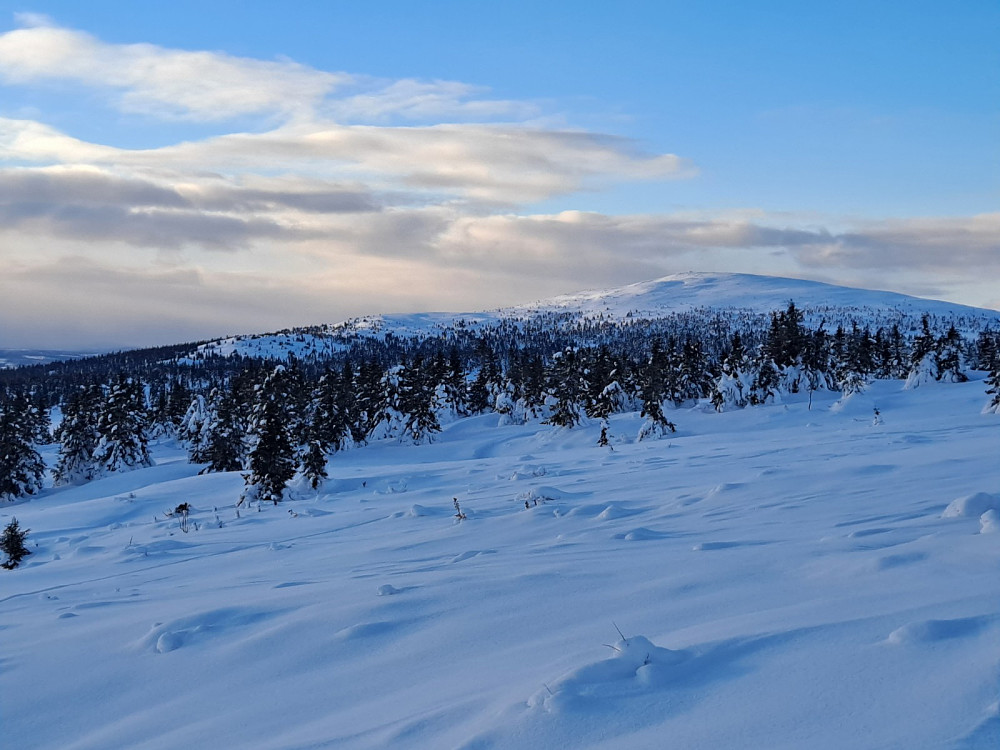 I Trolløypa ved Løvisåsen