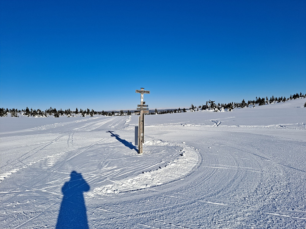 Ved løypekrysset Kruggerudrenna