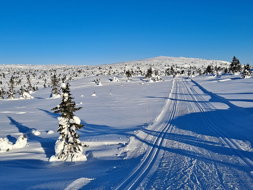 Ser tilbake på Kriksfjellet