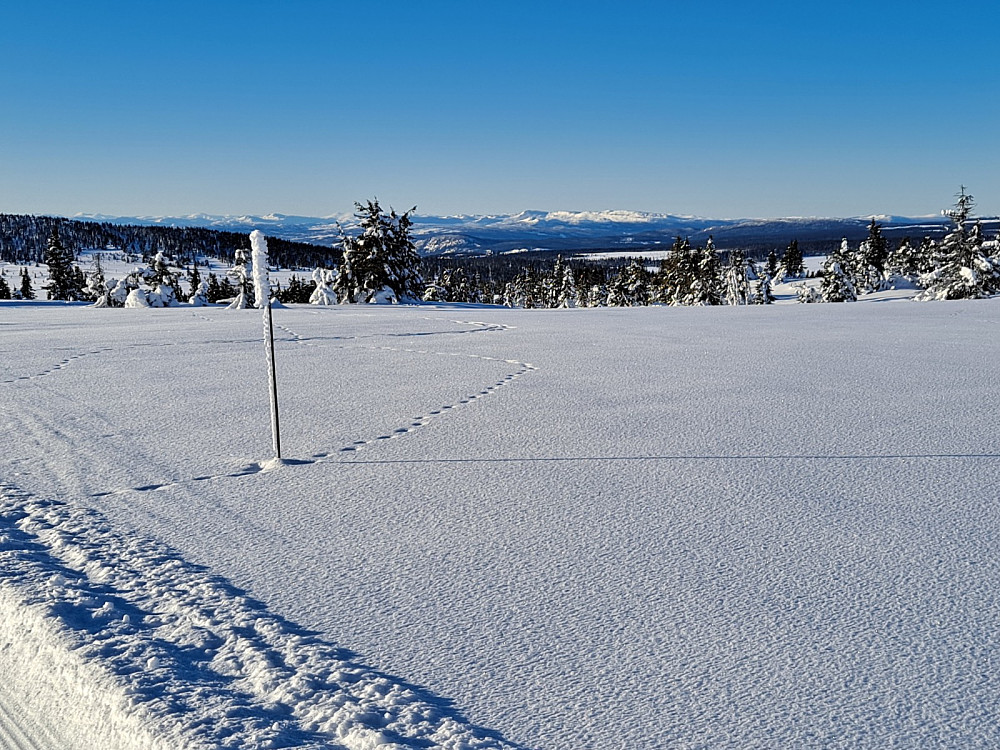 Ned fra Hitdalen