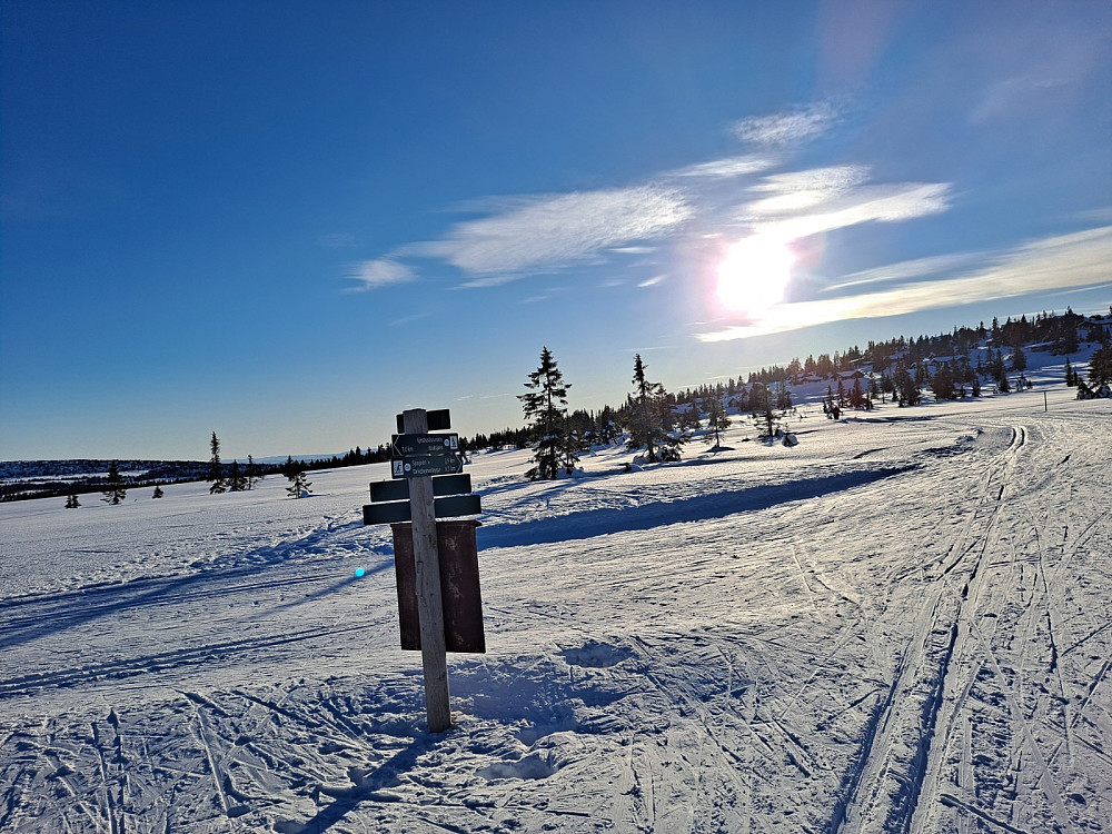 Ved løypekrysset Storåsmyra