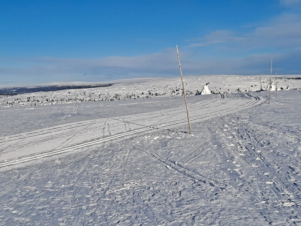 På Mostefjell