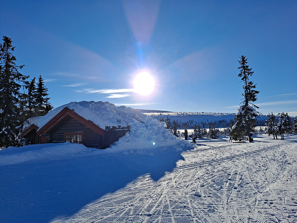 Ved Midtfjellkoia