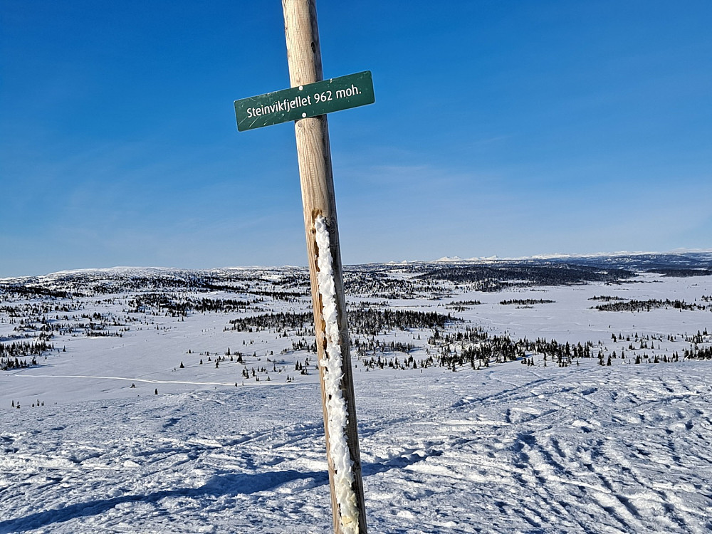 På Steinvikfjellet