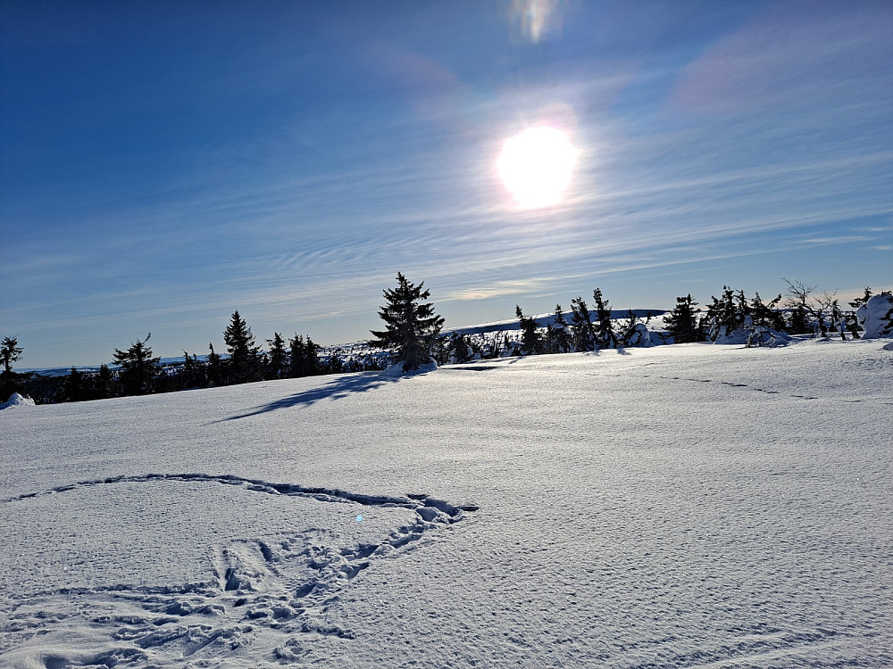 På Midtfjellet
