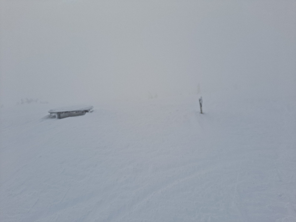 På Mostfjellet