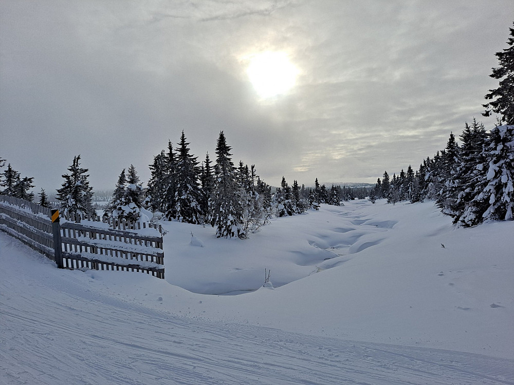 Ved brua over Fjellelva