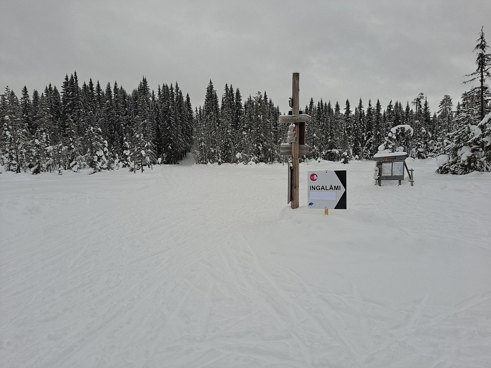 På Sagmyra, Birkebeinerløypa og Ingalåmi skiller lag her
