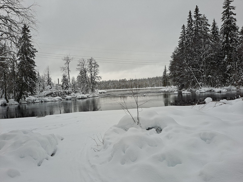 Mesnaelva