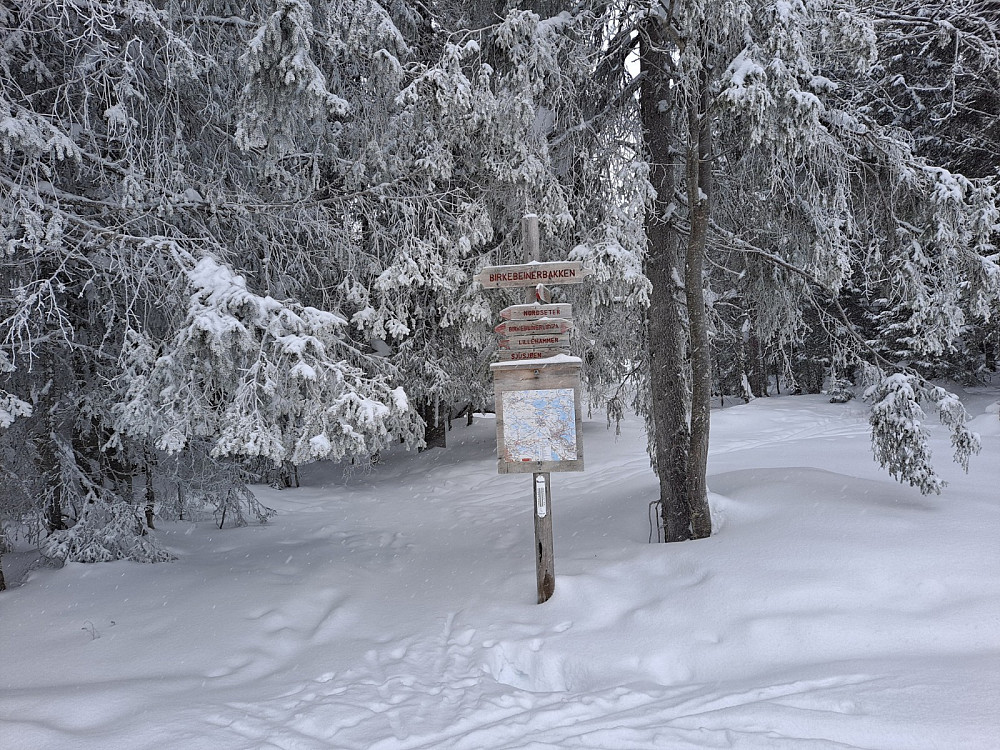 Løypekrysset Birkebeinerbakken