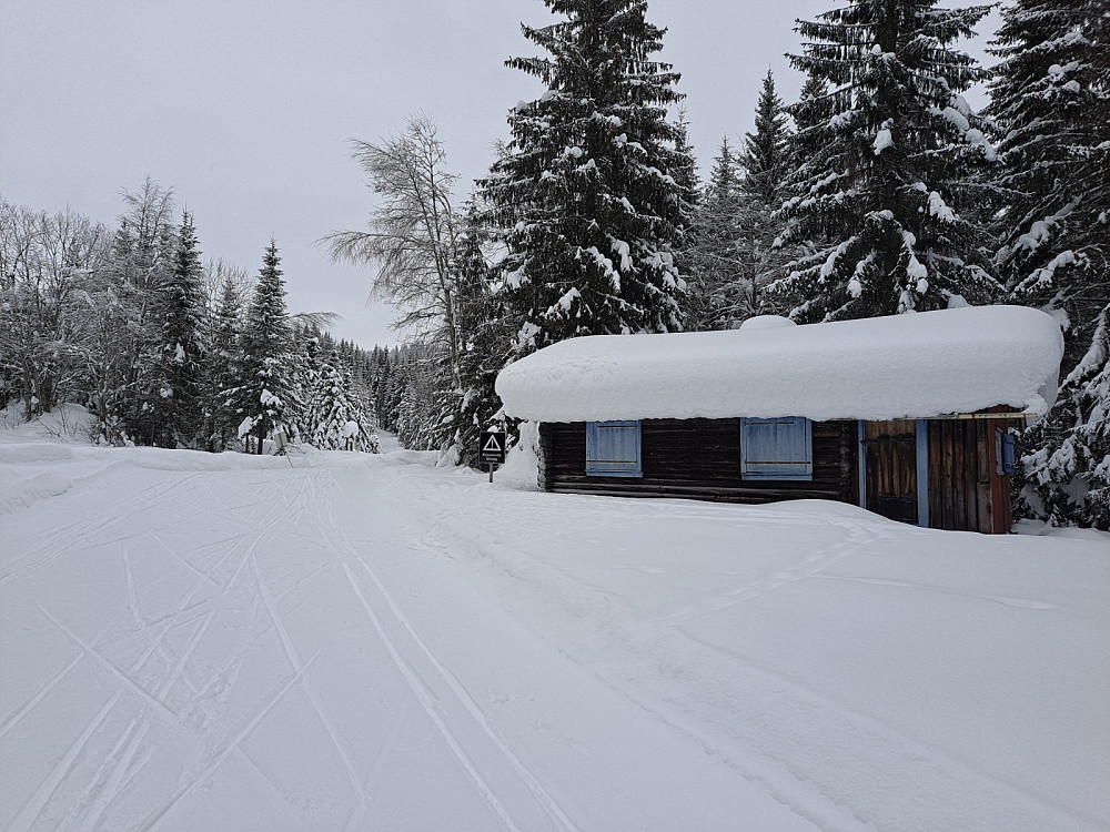 Birkebeinerløypa krysser Sjøsetervegen