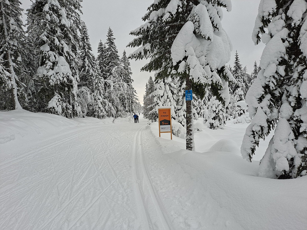 I Birkebeinerløypa