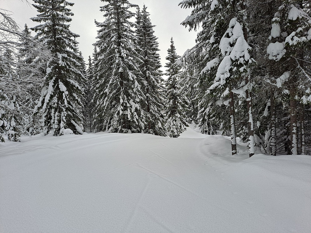 På Kanthaugen