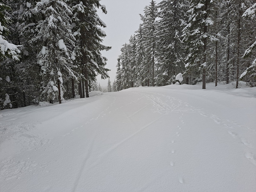 På Kanthaugen