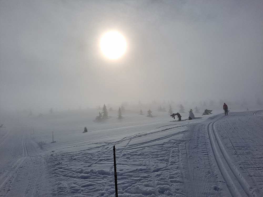 Ved løypekrysset Lunkevann