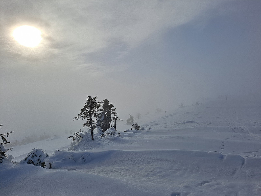 På Sjusjøfjellet øst