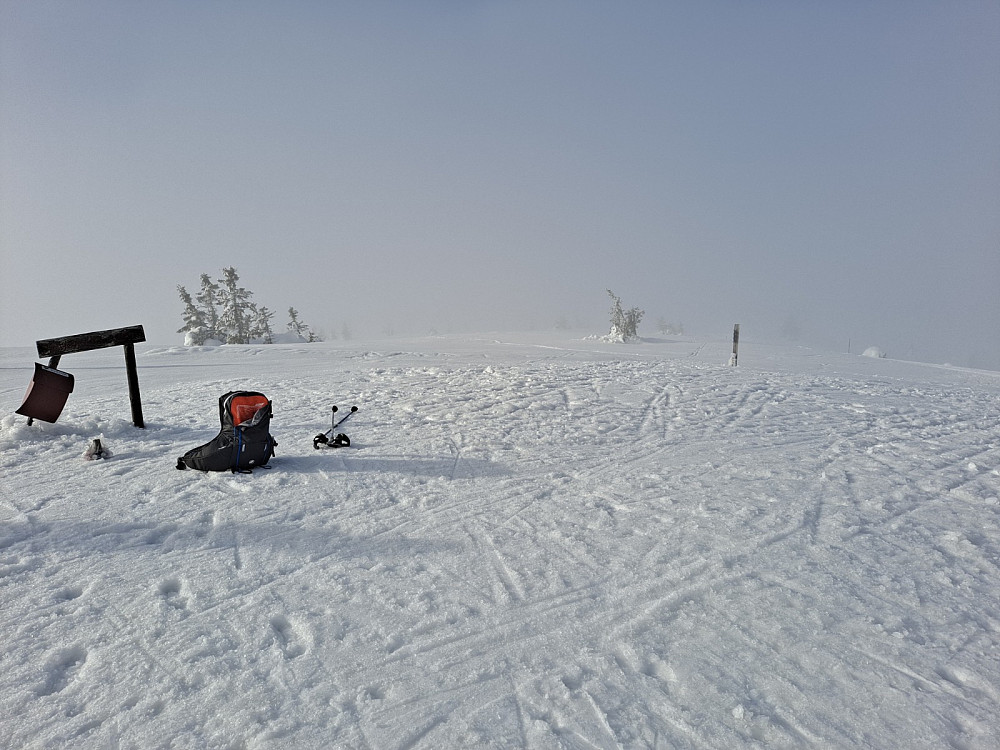 På Sjusjøfjellet