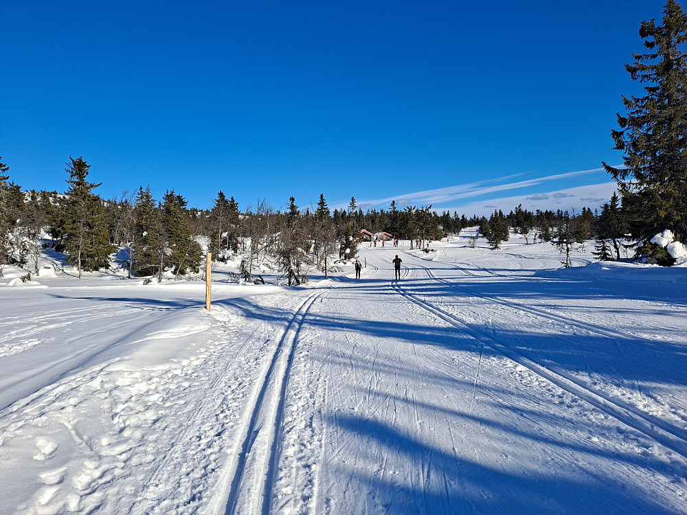 Ved Midtfjellkoia