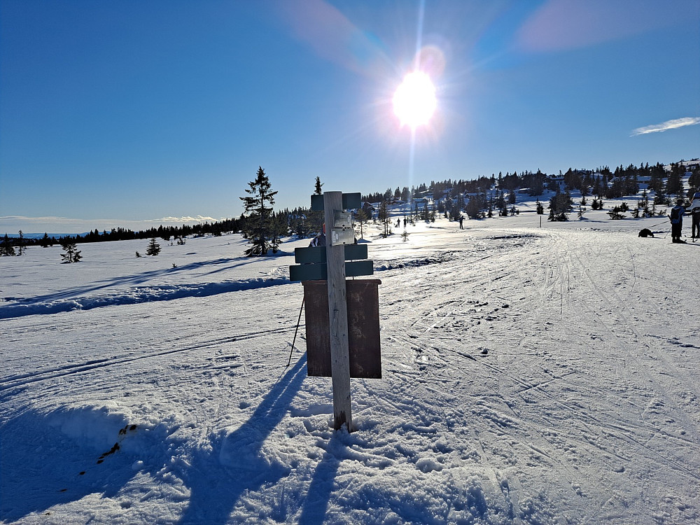 Ved løypekrysset på Storåsmyra